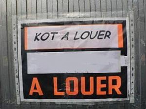 kot_a_louer