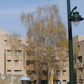 Réforme intrabruxelloise : le nombre de sociétés bruxelloises de logements sociaux diminuera de moitié pour plus d’efficacité