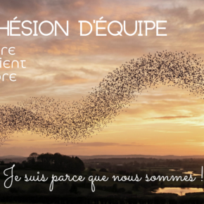 Cohésion d'équipe : mesurer, entretenir, améliorer