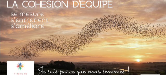 Cohésion d'équipe : mesurer, entretenir, améliorer