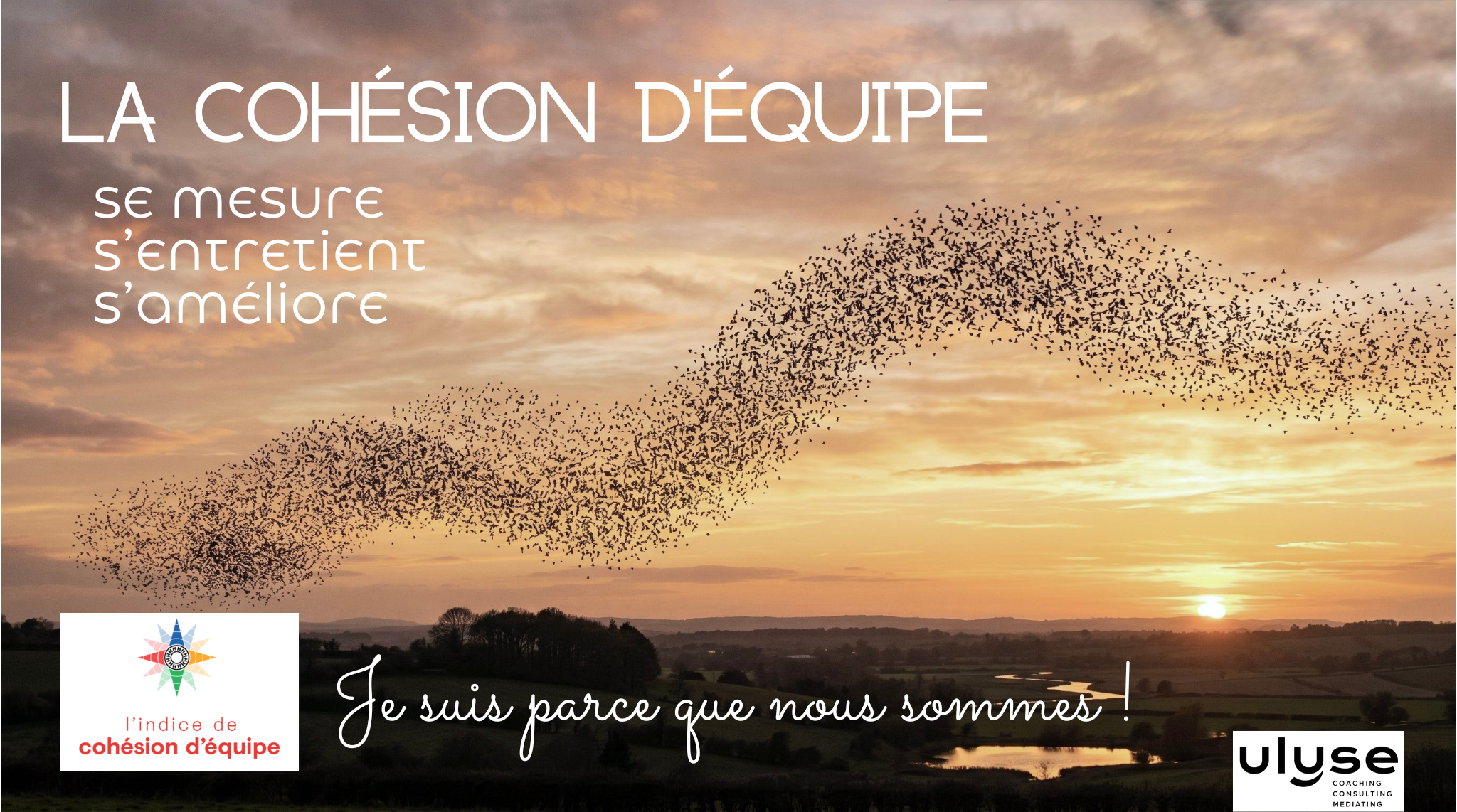 Cohésion d'équipe HUBU ULYSE